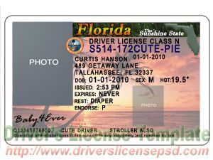 free florida drivers license template